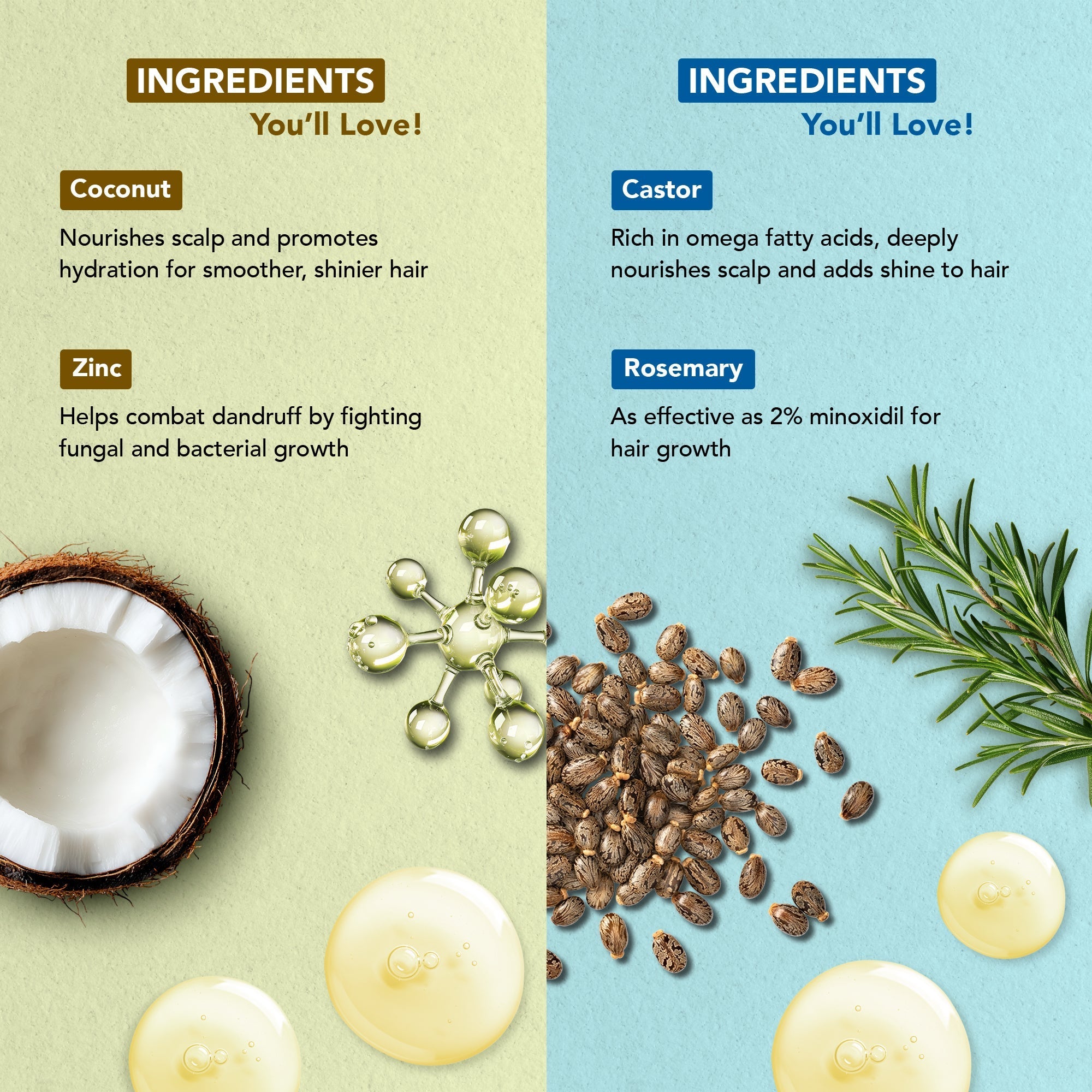 Botanic Hearth Coconut Zinc & Rosemary Castor - Hair Oil | Grocsy