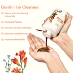 Sacred Grove Hair Growth Kit for Men | Grocsy