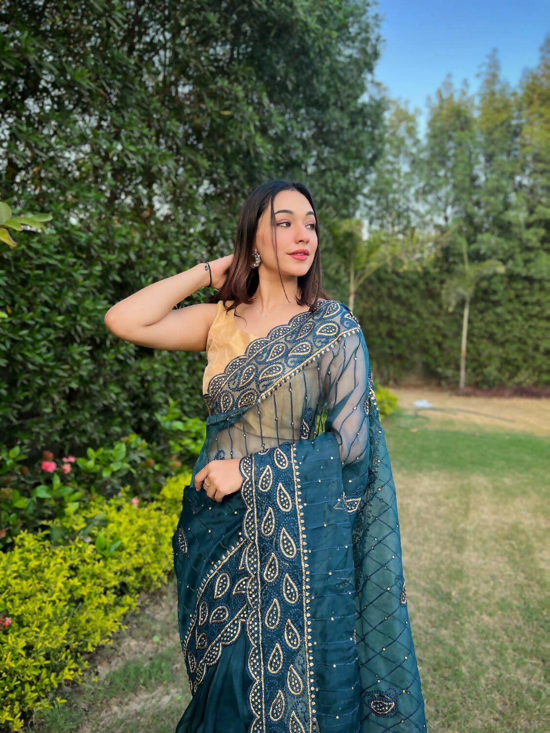 Vamsee Sky Organza Saree | Grocsy
