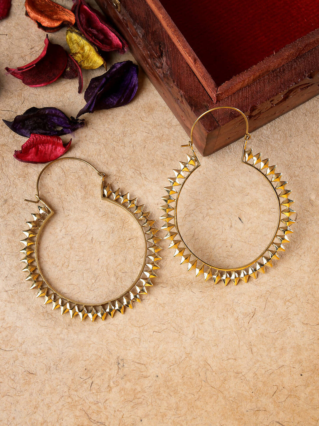 NVR Women Golden Full Circular Hoop Earrings | Grocsy