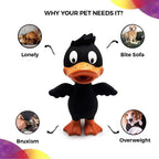 Goofy Tails Latex Dog Toys Duck - Black | Grocsy