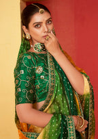 Joban Fashion Dola Silk With Zari Border Shaded Multi Color Work Saree | Grocsy