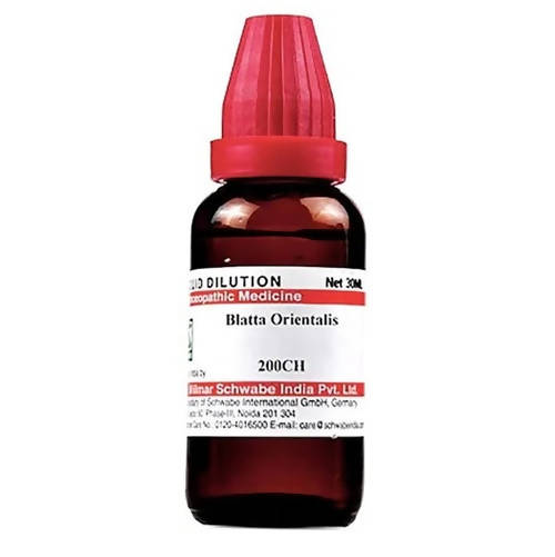 Dr. Willmar Schwabe India Blatta Orientalis Dilution | Grocsy