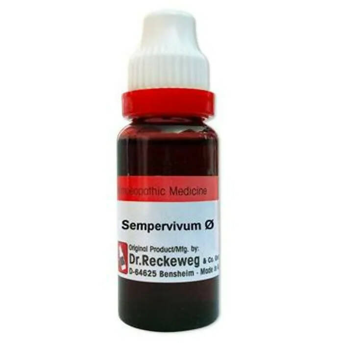 Dr. Reckeweg Sempervivum Mother Tincture Q | Grocsy
