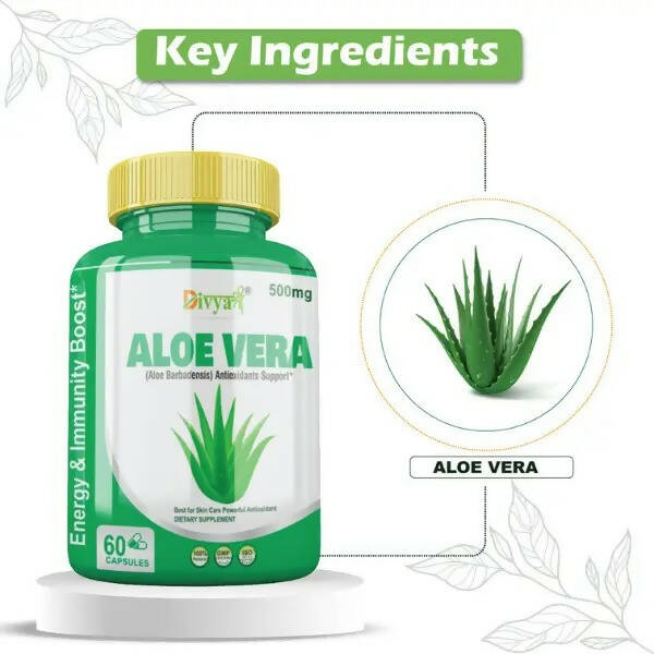 Divya Shree Aloe Vera Capsules | Grocsy