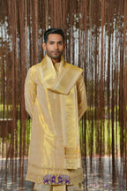 Gold Tissue Kanjivaram Machien Embroidered Pattu Set by Hilo Design | Grocsy