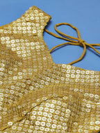 House of Panchhi Mustard Net Sequinse Work Lehenga & Blouse, Dupatta | Grocsy