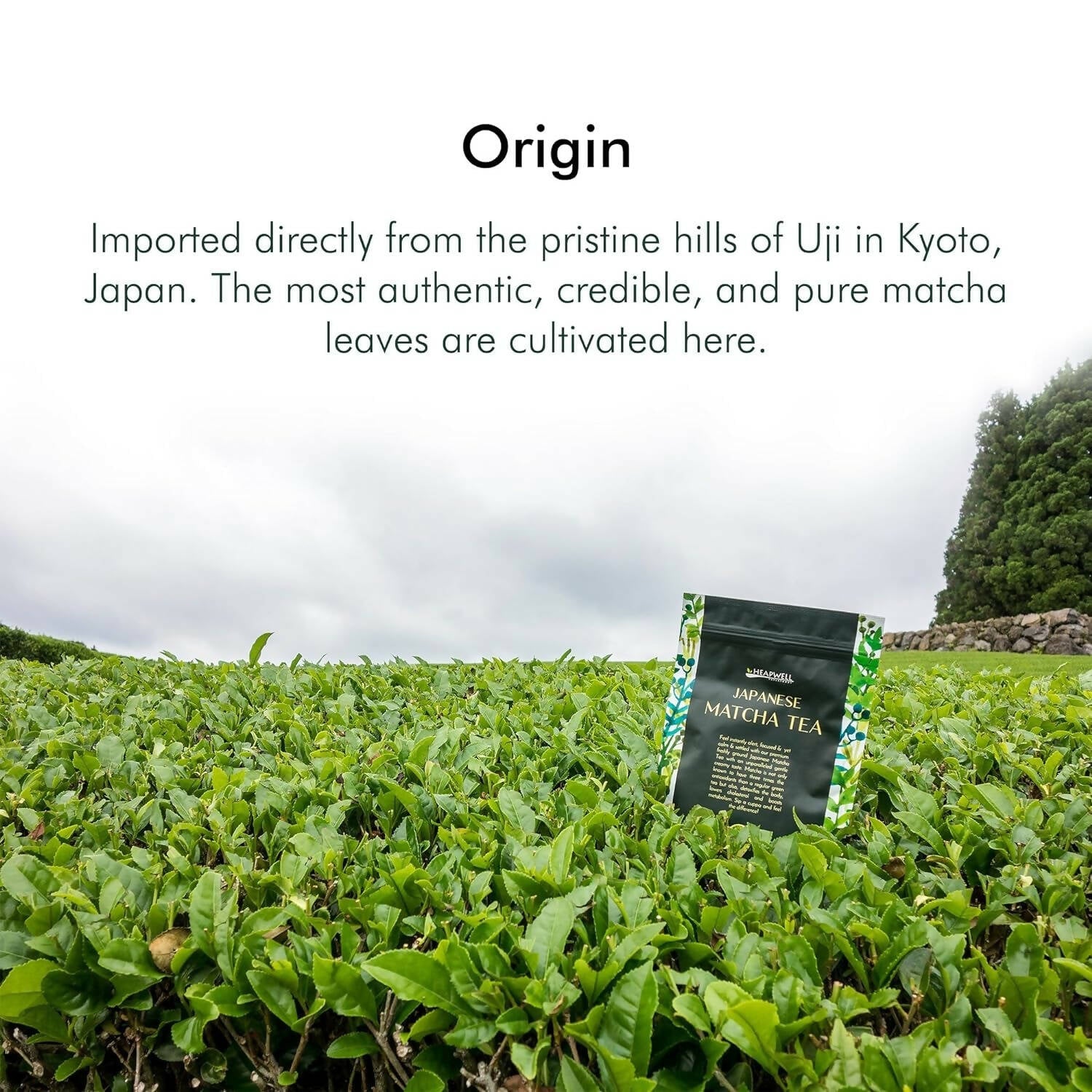 Heapwell Superfoods Japanese Ceremonial Matcha Green Tea | Grocsy