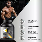 MuscleBlaze Whey Active Chocolate | Grocsy