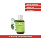 Alps Goodness Eucalyptus Essential Oil | Grocsy