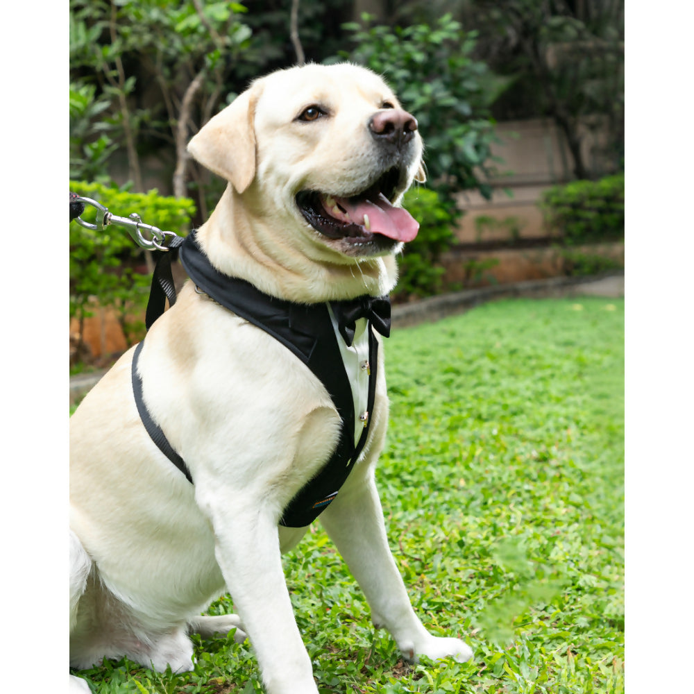 Waggety Tuxedo Dog Harness - Stylish Black & White Design, Adjustable Fit, Durable Fabric, Elegant Pet Harness for Dogs | Grocsy