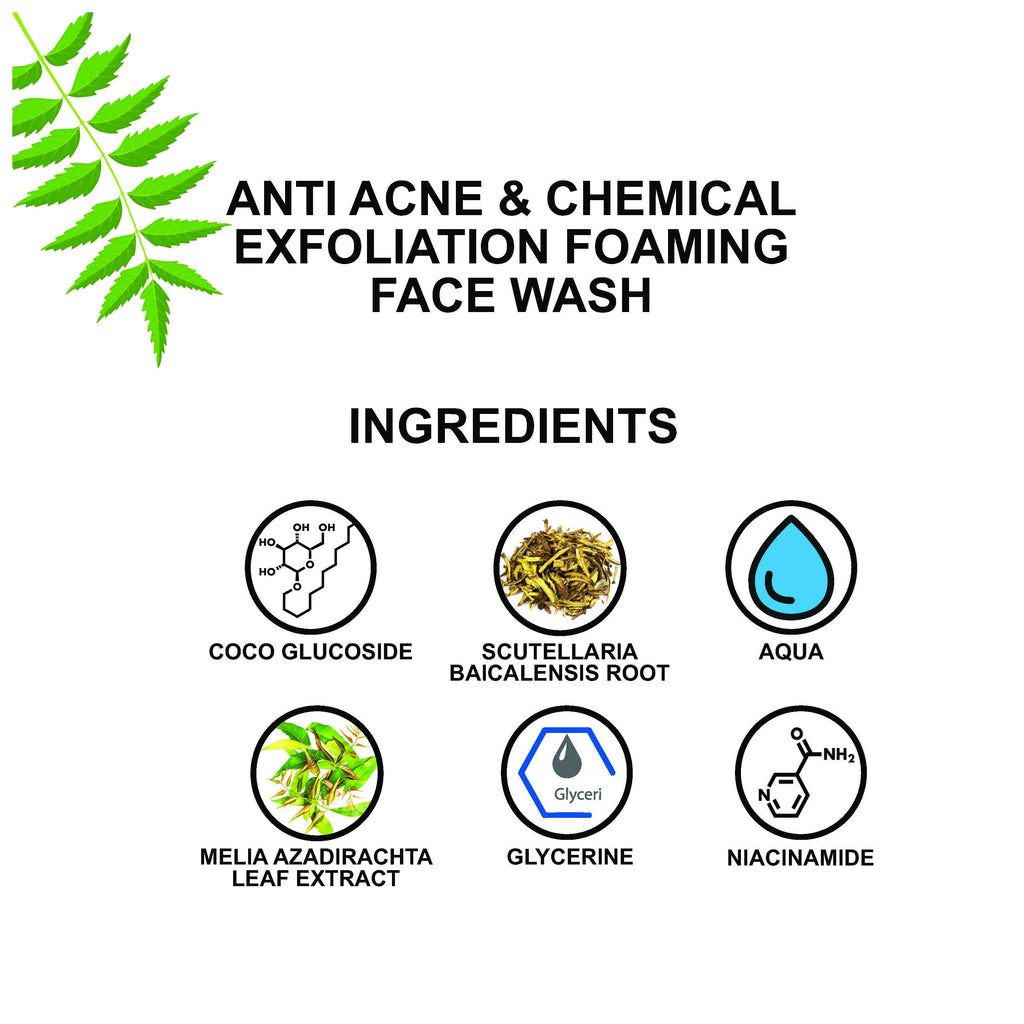 Love Earth Anti Acne & Chemical Exfoliation Foaming Face Wash | Grocsy