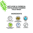 Love Earth Anti Acne & Chemical Exfoliation Foaming Face Wash | Grocsy