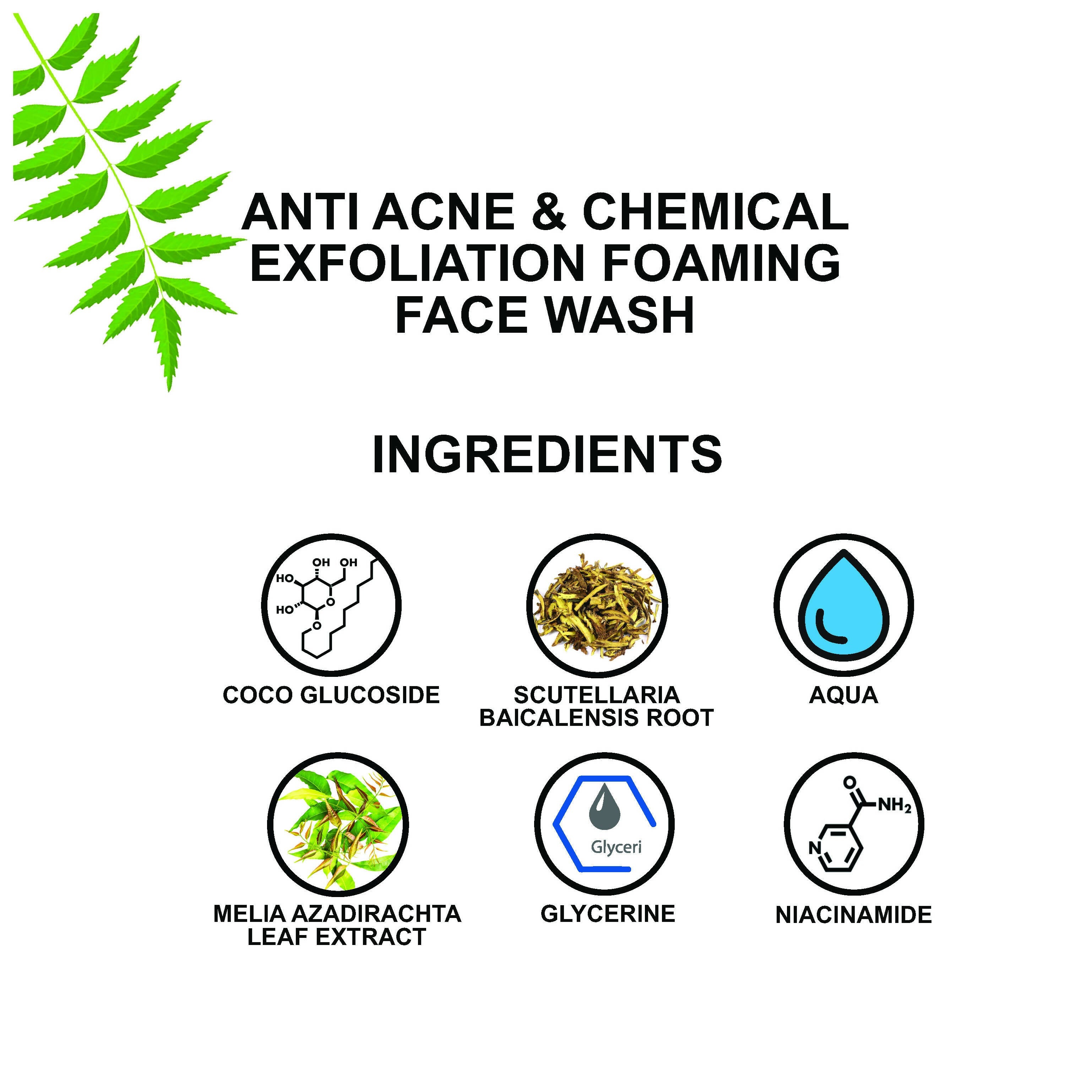 Love Earth Anti Acne & Chemical Exfoliation Foaming Face Wash | Grocsy