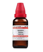 Dr. Willmar Schwabe India Agraphis Nutans Dilution | Grocsy