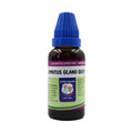 Father Muller Spiritus Quercus Glandium Mother Tincture Q | Grocsy