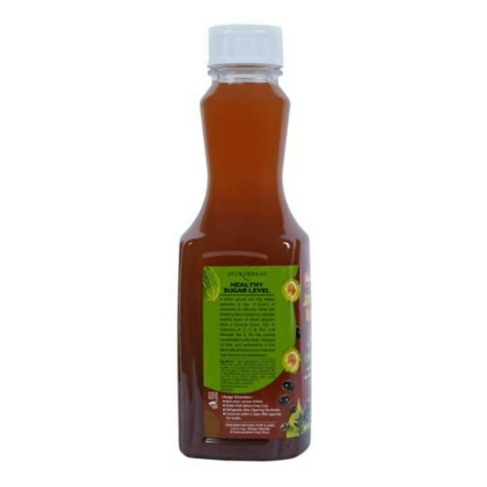 Baidyanath Jhansi Jamun Plus Karela Juice | Grocsy