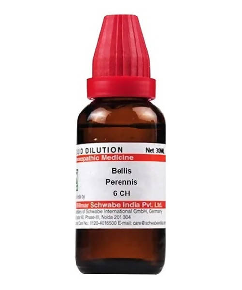 Dr. Willmar Schwabe India Bellis Perennis Dilution | Grocsy