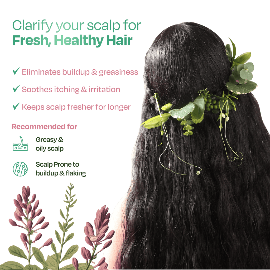 Sacred Grove Licorice & Peppermint Deep Clean Scalp Mask | Grocsy