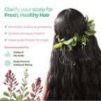 Sacred Grove Licorice & Peppermint Deep Clean Scalp Mask | Grocsy