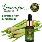 Old Tree Lemongrass Essential Oil | Grocsy