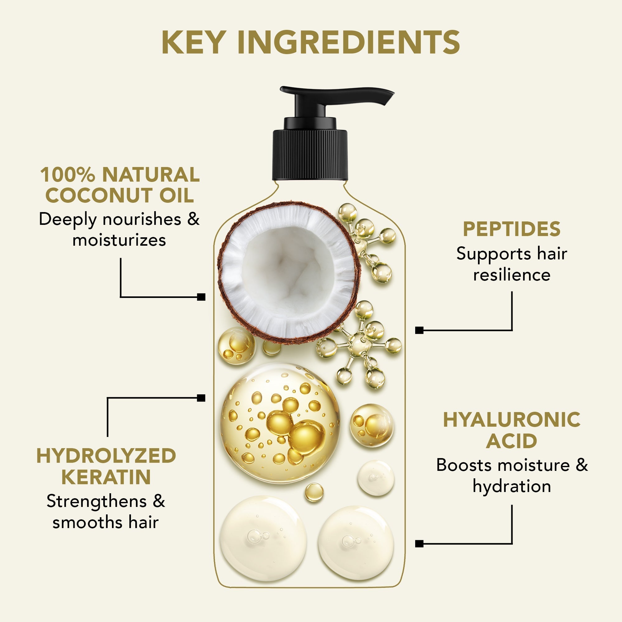 Botanic Hearth Defrizz & Repair Shampoo with Coconut Oil & Peptides | Grocsy
