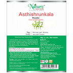 Naturz Ayurveda Asthishrunkala Powder | Grocsy