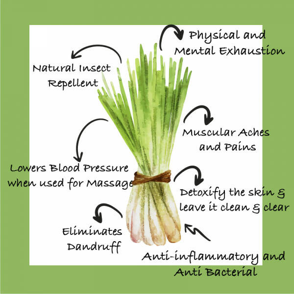 Sarva by Anadi Lemongrass Pure Essential Oil | Grocsy