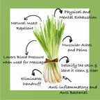 Sarva by Anadi Lemongrass Pure Essential Oil | Grocsy