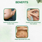 Dr. Vaidya's Liver Care Capsules | Grocsy