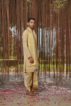 Gold Tissue Kanjivaram Machien Embroidered Pattu Set by Hilo Design | Grocsy