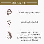 Mitti Se Peppermint Essential Oil | Grocsy