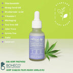Natural Vibes Acne & Dark Spot Corrector Face Serum | Grocsy