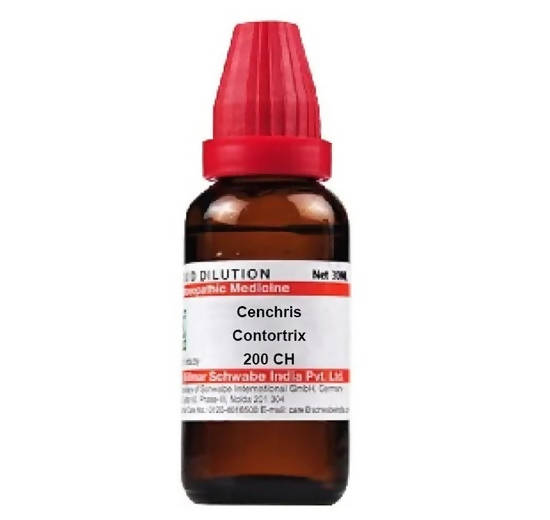 Dr. Willmar Schwabe India Cenchris Contortrix Dilution | Grocsy