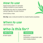 PLIX The Plant Fix 2% Salicylic Acid Body Wash | Grocsy