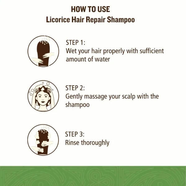 SoulTree Anti-Dandruff Shampoo | Grocsy