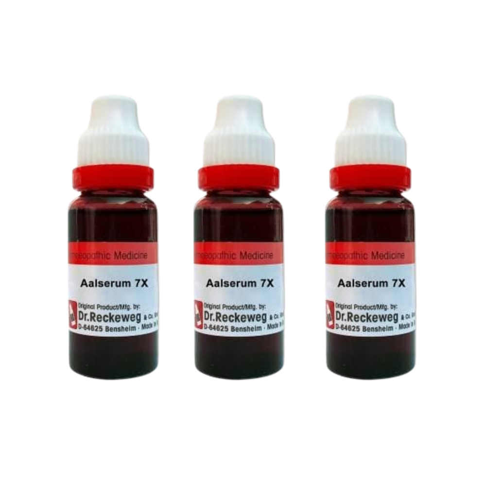 Dr. Reckeweg Aalserum 7X Mother Tincture Q | Grocsy