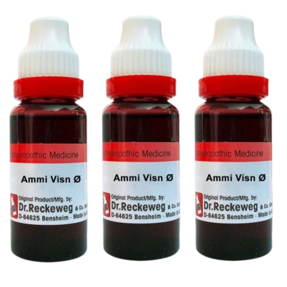 Dr. Reckeweg Ammi Visn Mother Tincture Q | Grocsy