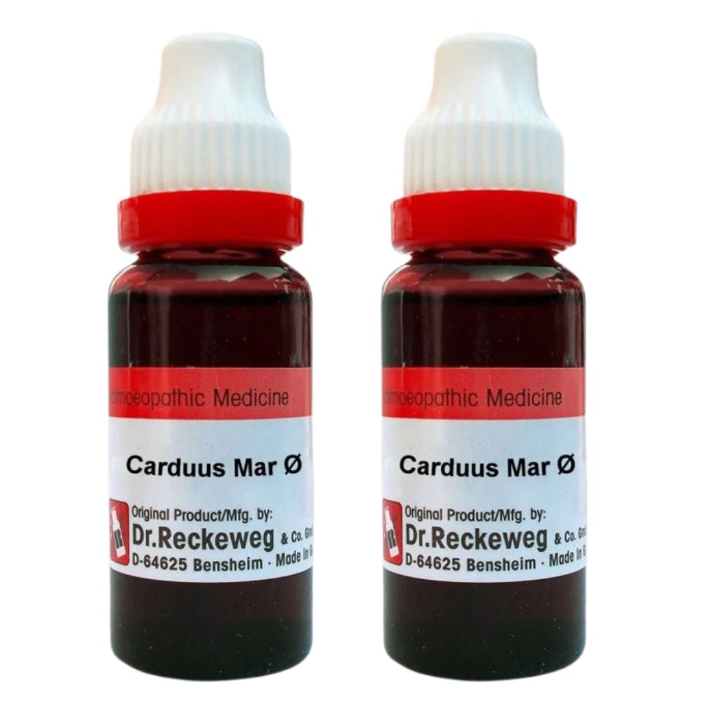 Dr. Reckeweg Carduus Mar Mother Tincture Q | Grocsy