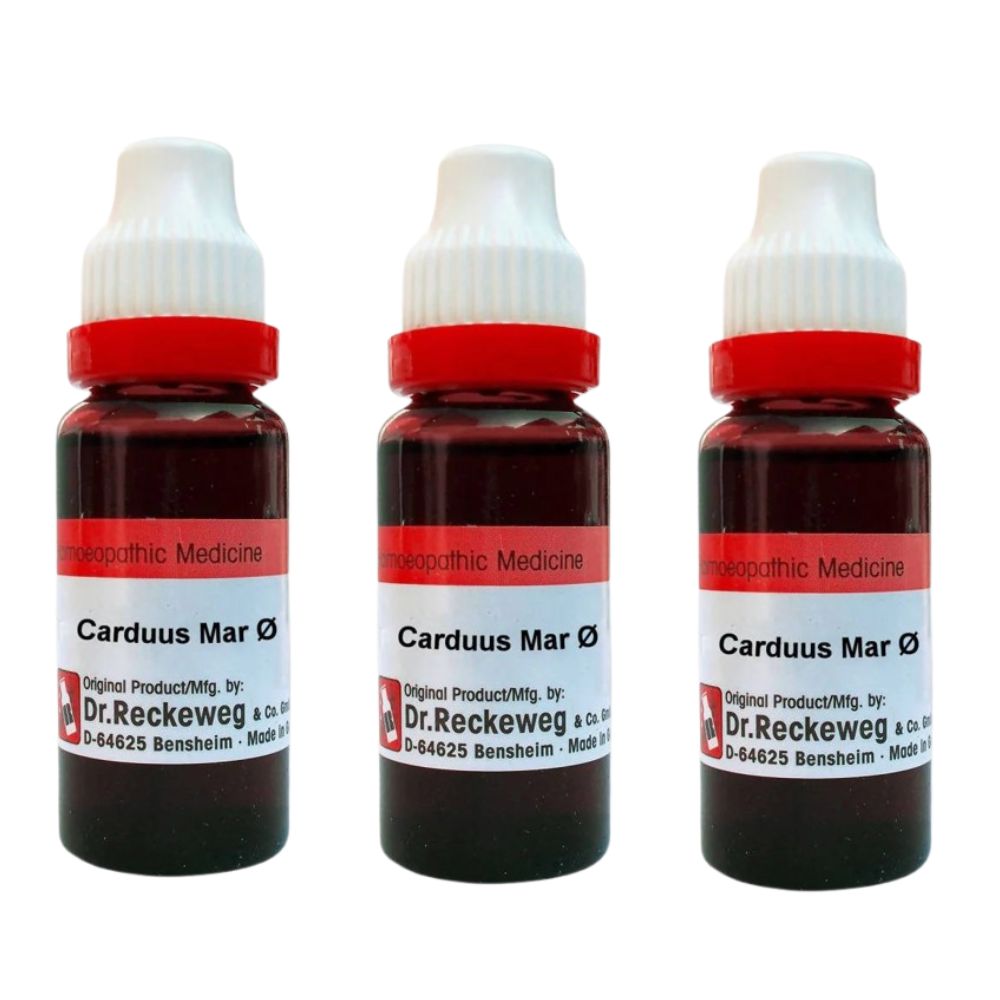 Dr. Reckeweg Carduus Mar Mother Tincture Q | Grocsy