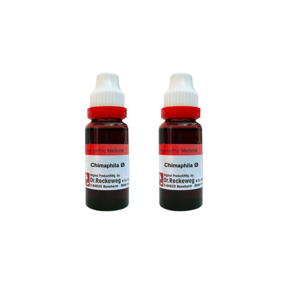Dr. Reckeweg Chimaphila Mother Tincture Q | Grocsy