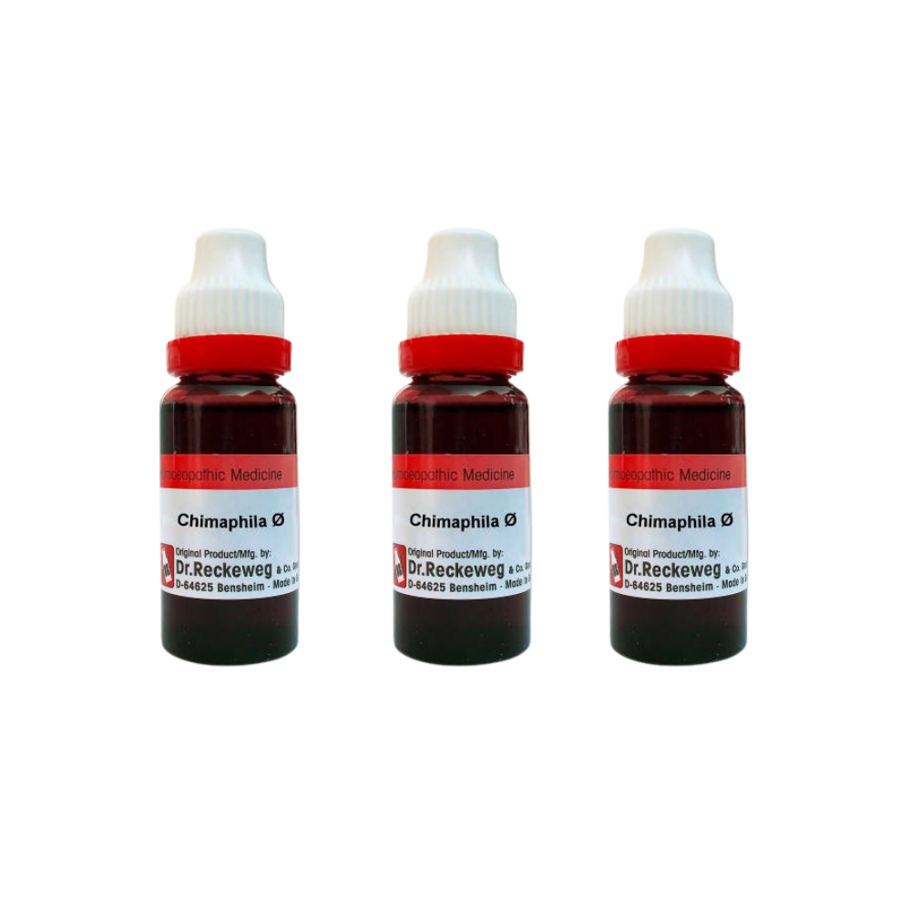 Dr. Reckeweg Chimaphila Mother Tincture Q | Grocsy