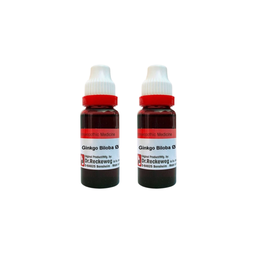 Dr. Reckeweg Ginkgo Biloba Mother Tincture Q | Grocsy