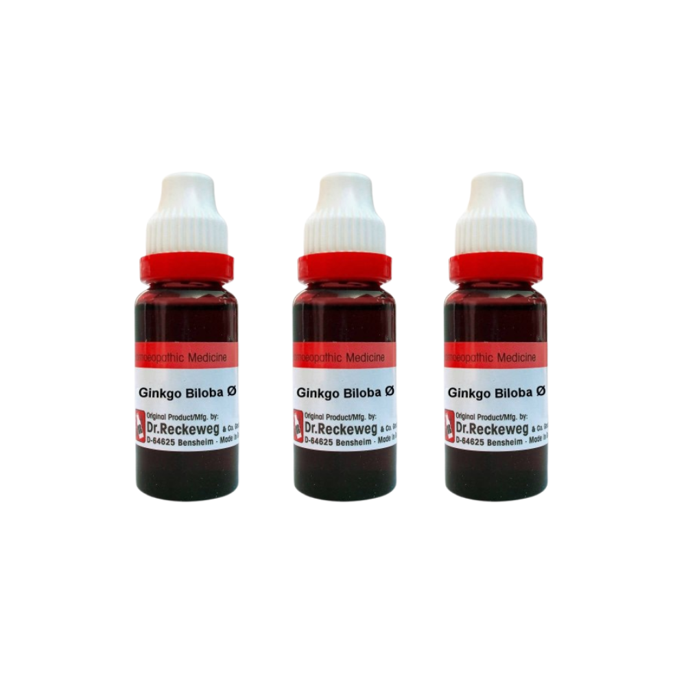 Dr. Reckeweg Ginkgo Biloba Mother Tincture Q | Grocsy