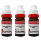 Dr. Reckeweg Ignatia Amara Dilution | Grocsy
