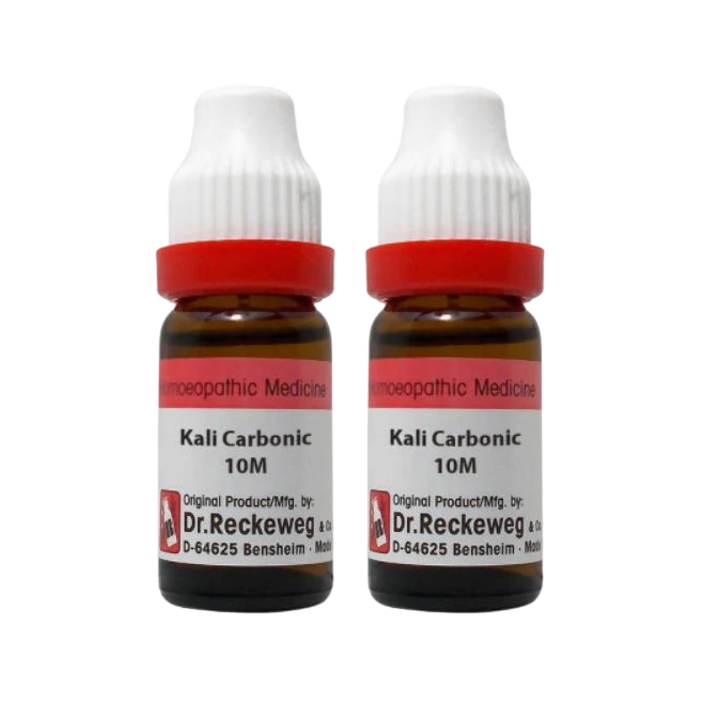 Dr. Reckeweg Kali Carbonic Dilution | Grocsy