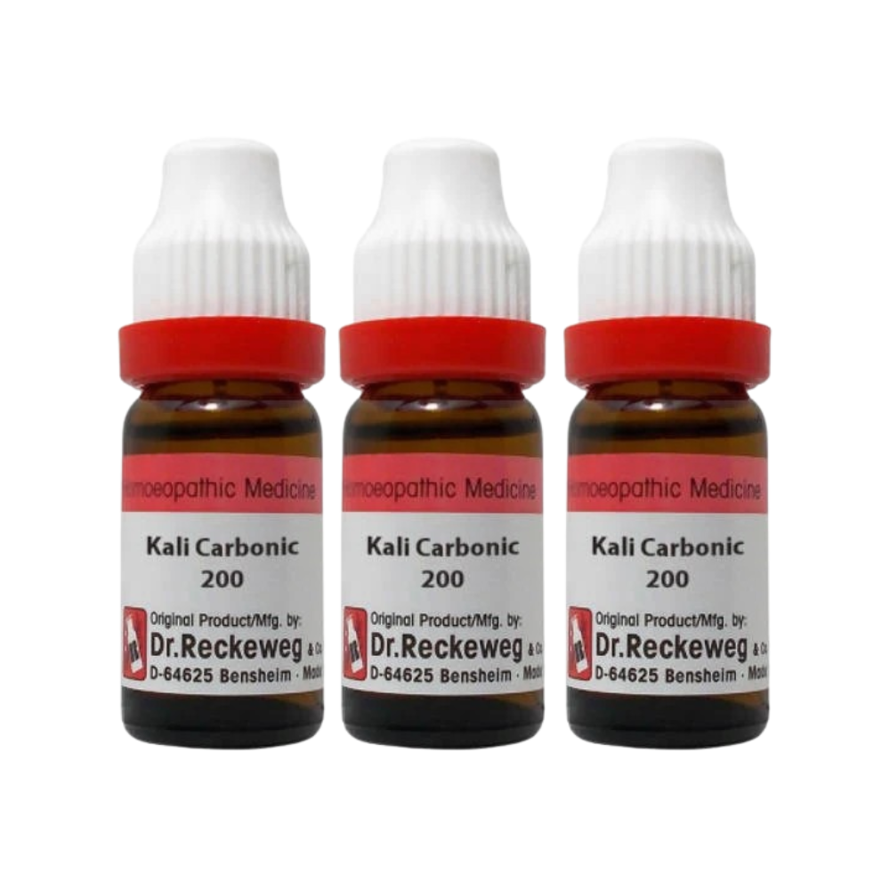 Dr. Reckeweg Kali Carbonic Dilution | Grocsy