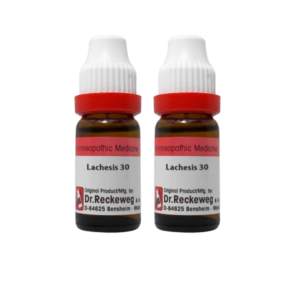 Dr. Reckeweg Lachesis Dilution | Grocsy