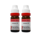Dr. Reckeweg Lachesis Dilution | Grocsy