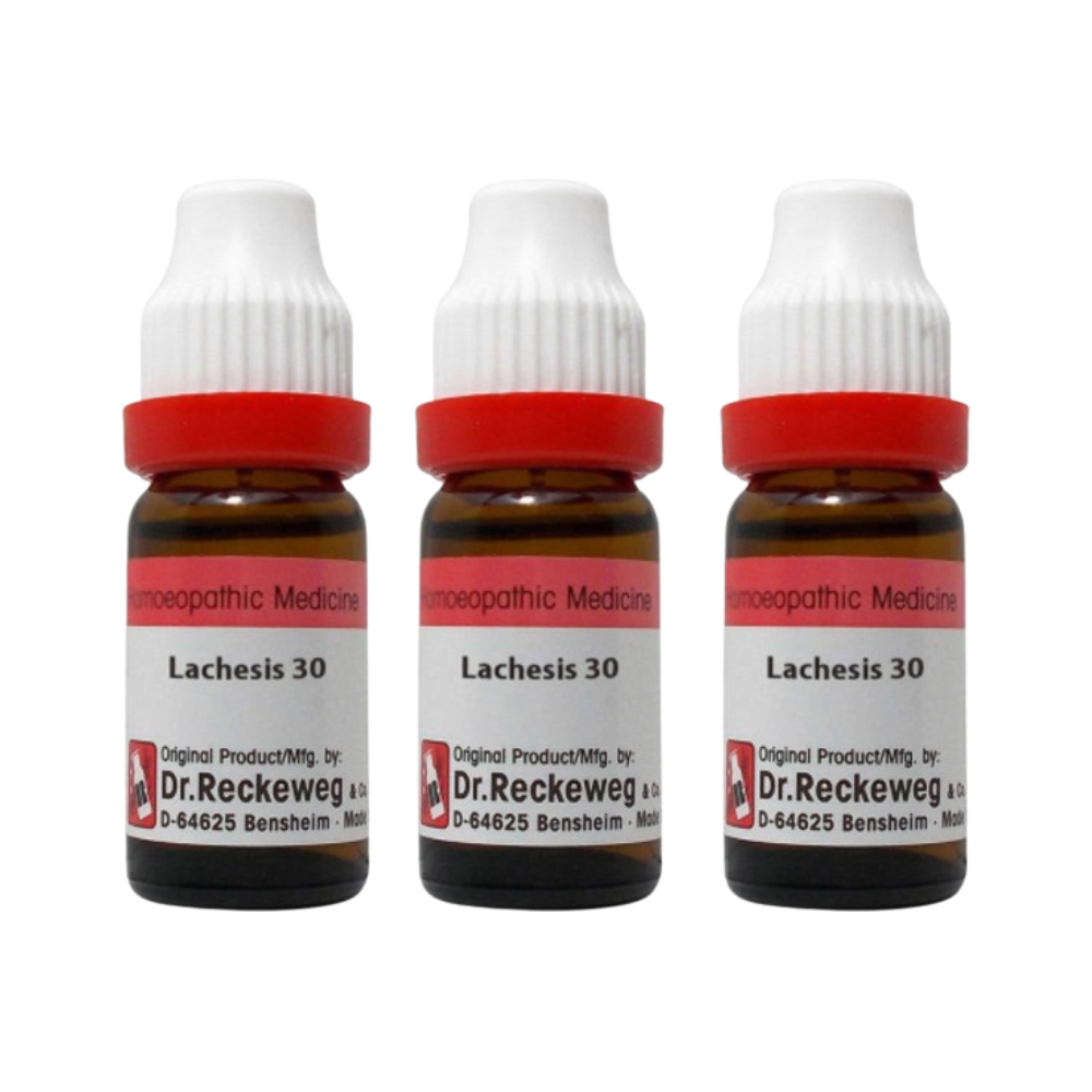Dr. Reckeweg Lachesis Dilution | Grocsy